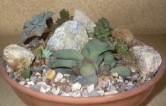 P1290831.jpg