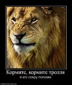 245315_kormite-kormite-trollya.webp