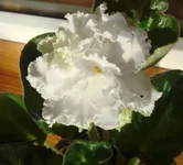  ек-мартовский снеговичек2.webp