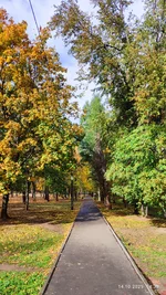 IMG_20251014_143918.webp IMG_20251014_143918.webp