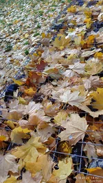 IMG_20251014_144230.webp IMG_20251014_144230.webp