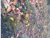 IMG_20251018_185428_542.webp
