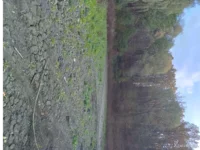 20251019_130754.webp