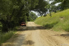 _SAM1013.webp
