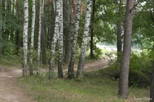 _SAM1028.webp