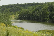 _SAM1030.webp