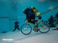 images (21).webp