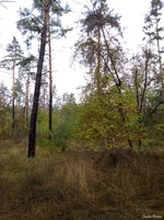 WP_20251025_009.webp WP_20251025_009.webp