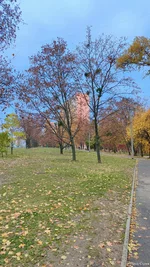 IMG_20251029_145142.webp IMG_20251029_145142.webp