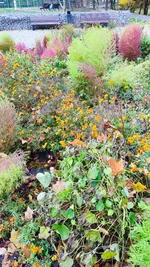 IMG_20251029_145122.webp IMG_20251029_145122.webp