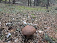 photo_2025-11-02_12-24-57 (2).webp