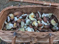 photo_2025-11-02_12-24-57 (3).webp