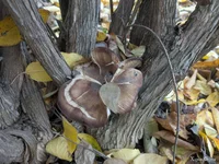 photo_2025-11-06_15-45-44 (2).webp