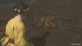 Ghost of Yōtei_20251018115240.webp