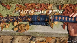 Ghost of Yōtei_20251024224525.webp