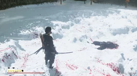 Ghost of Yōtei_20251027190514.webp