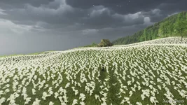 Ghost of Yōtei_20251106190609.webp