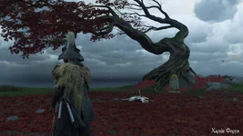 Ghost of Yōtei_20251106191612.webp