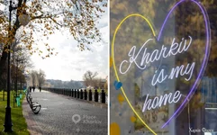 Screenshot_168.webp Screenshot_168.webp