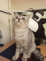 photo_2025-11-11_19-56-06.webp photo_2025-11-11_19-56-06.webp