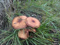 photo_2025-11-18_13-01-37 (2).webp