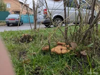 photo_2025-11-18_13-01-37 (3).webp