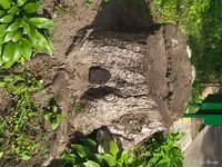 Мастер на СТО,район ХГ