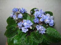 IMG_7518 (Копировать).webp