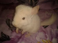 2012-04-28 10.15.03.webp