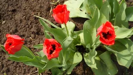 SAM_0503.webp