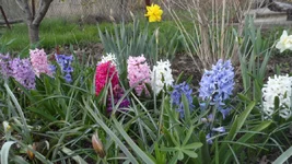 SAM_0510.webp