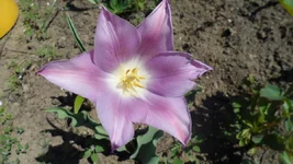 SAM_0618.webp