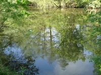 DSC02555.jpg
