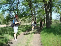 DSC02569.jpg