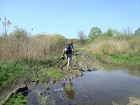 DSC02574.webp