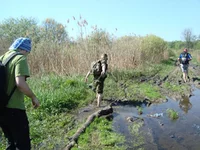 DSC02575.jpg