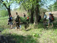 DSC02587.jpg