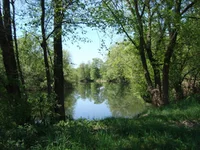 DSC02597.jpg