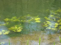 DSC02610.webp