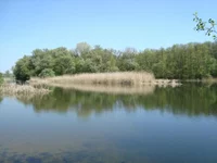 DSC02617.jpg