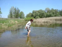 DSC02630.webp