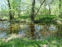 DSC02635.jpg