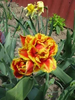 IMG_3373.webp