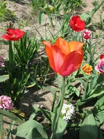 IMG_3392.webp