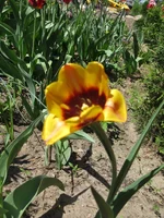 IMG_3397.webp
