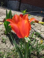 IMG_3402.webp