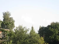 IMG_0007-web.webp