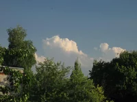 IMG_0006-web.webp
