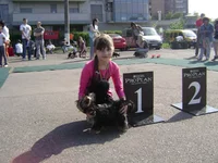 DSC00017.webp