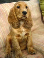 Изображение 241.webp